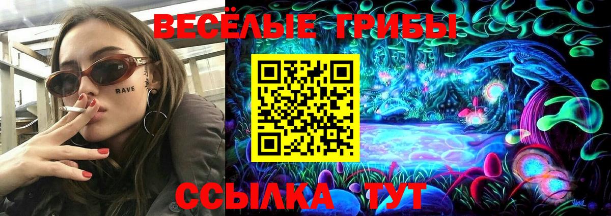 Галлюциногенные грибы GOLDEN TEACHER Прохладный